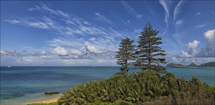 Lord Howe Island - NSW T (PBH4 00 11771)